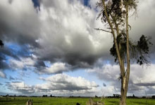 雷火电竞登录-蓝白风暴席卷绿茵：当世界杯王者碾压俱乐部王朝
