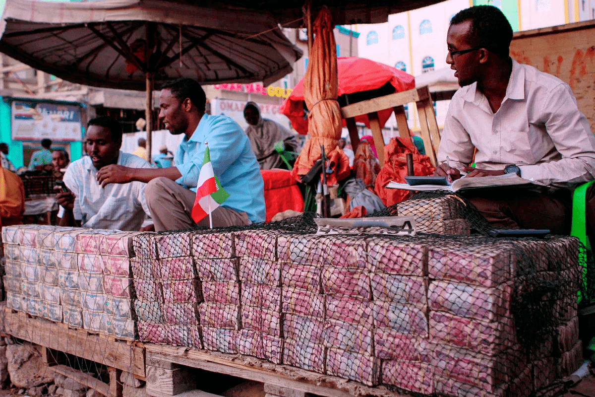 津巴布韦队在欧洲预选赛中大获全胜