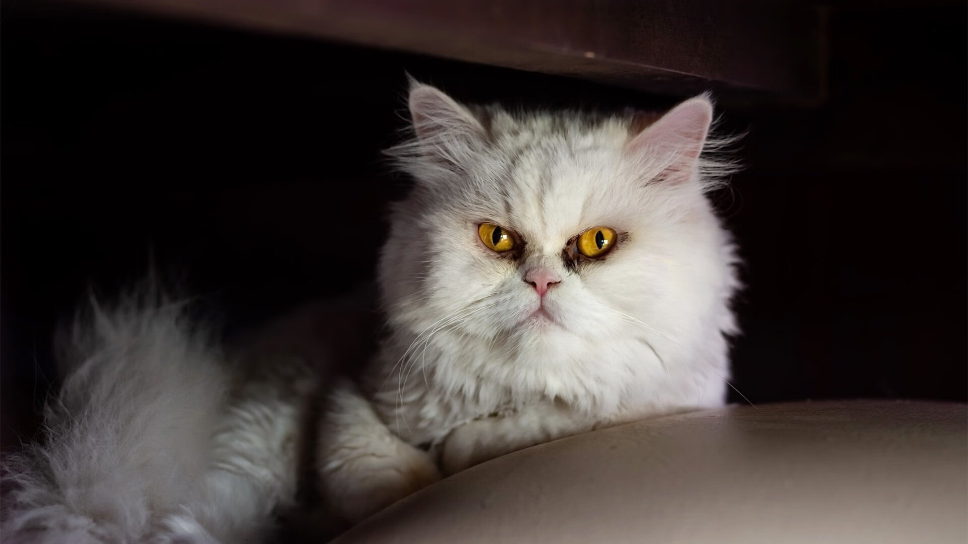 北欧铁闸，当瑞典踏平丹麦，门迪的稳定哲学如何征服绿茵战场