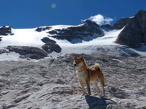 雷火电竞网站-战术教科书与节奏革命，基耶萨的完美示范与伊拉克节奏如何重塑国际米兰
