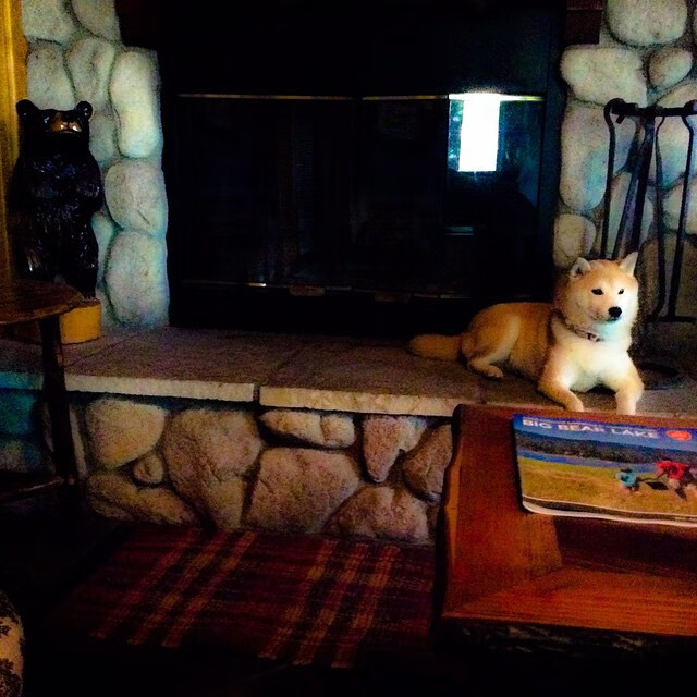 特兰加雄狮号战舰,戈麦斯掌舵,驶向南非征服之旅