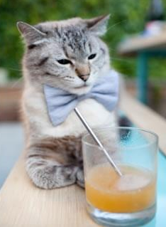 冰岛启示录,当赖斯的节奏哲学击败皇马式华丽