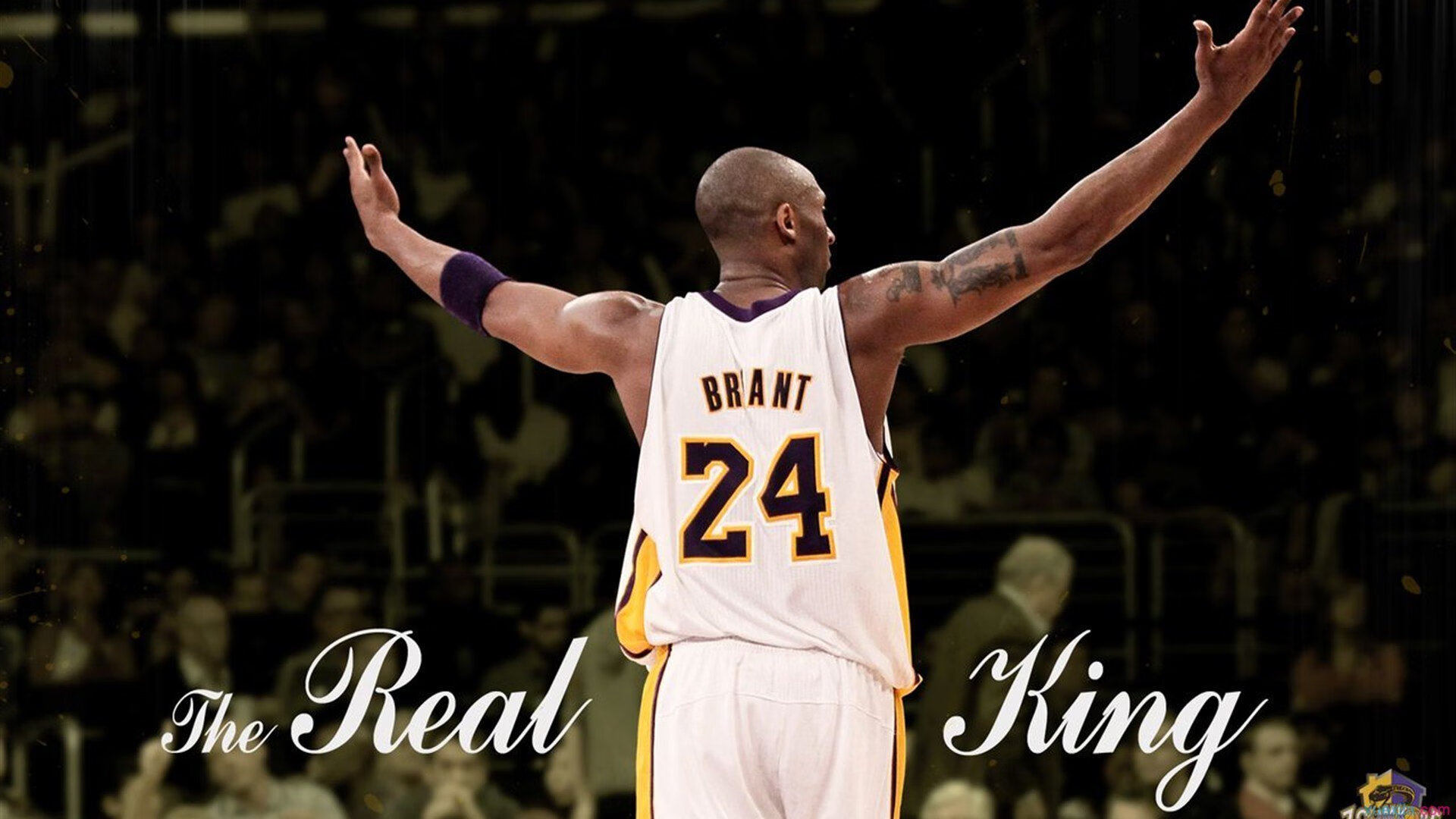 宿命回响，迪马利亚的利刃与加纳的铁壁