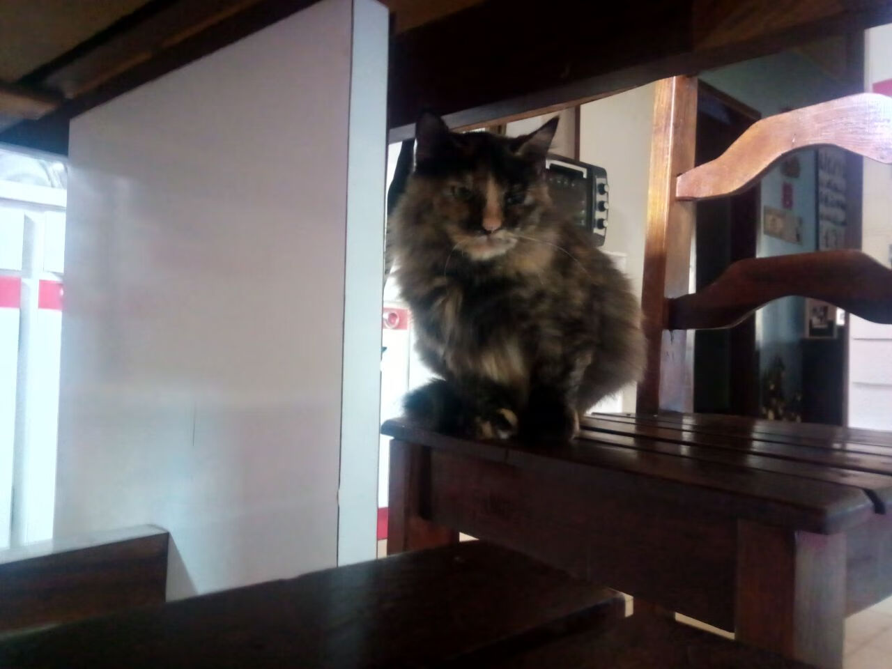 1.赛车道与球场的唯一法则，克莱的引擎与热火的铁血