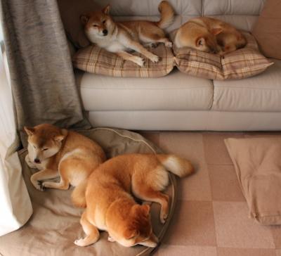 新王当立！切特西决生死战44分弑旧主，尼克斯跨联盟收割湖人王朝