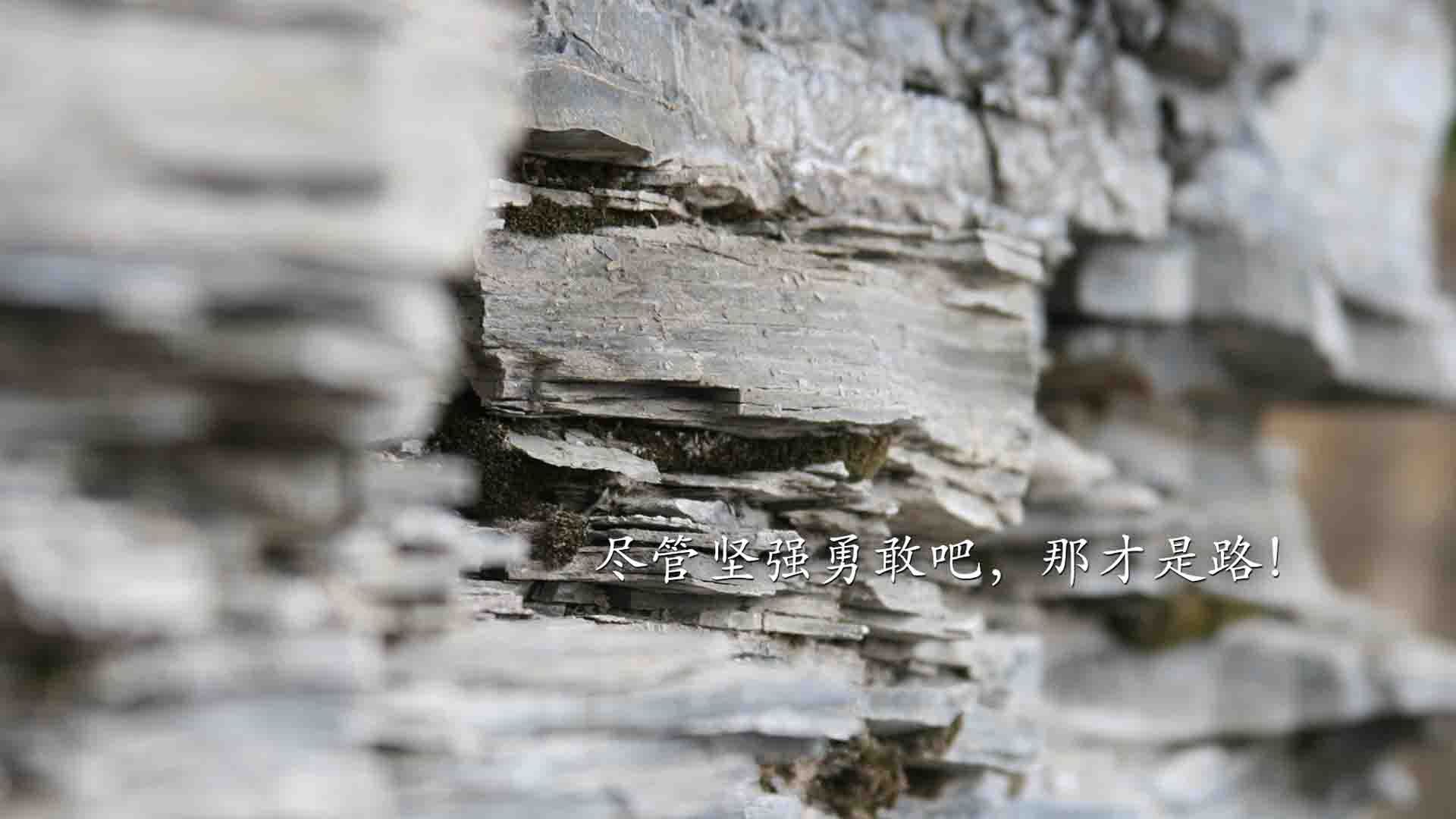雷火电竞主播-节奏之刃，当三笘薰的舞步划破2026世界杯C组的命运之夜